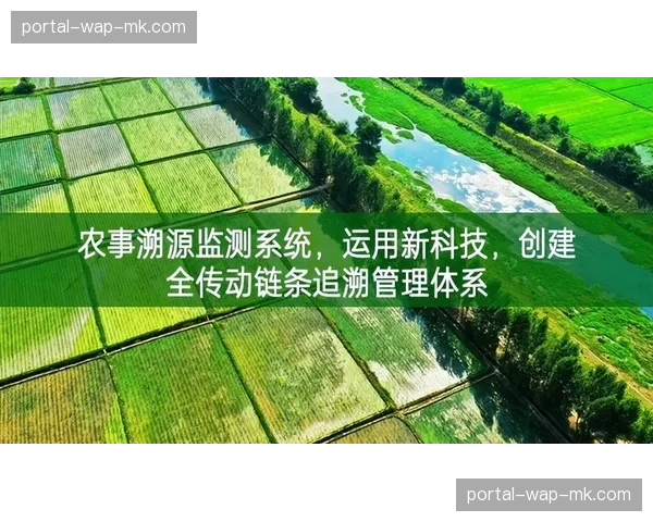 非洲本土语言解说员的培养体系:从选拔到职业发展的全链条观察