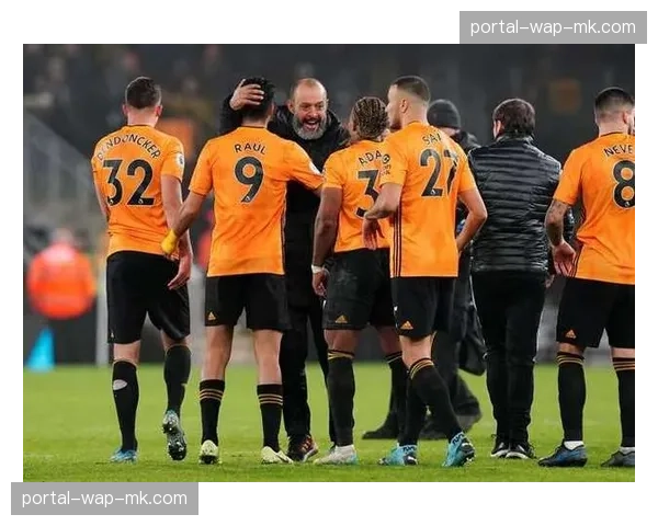 观点:英超保级混战分析,埃弗顿、布伦特福德与森林的生存几率 观点:英超保级混战分析,埃弗顿、布伦特福德与森林的生存几率